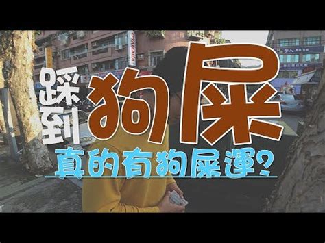 踩到狗大便運氣|【踩到狗大便運氣】踩到「幸運」狗大便？運氣究竟是好啊壞？一。